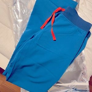 Figs Alps Blue Livingston Pants (Small tall)